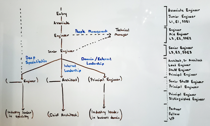 Flavors of software engineering roles